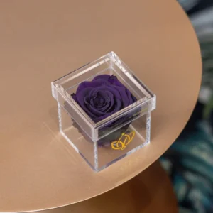 Rose transparent box